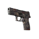 P250 | Facility Draft (Field-Tested)
