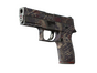 P250 | Facility Draft