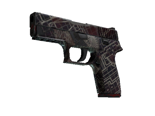 P250 | Facility Draft (Well-Worn)