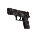 P250 | Facility Draft (Well-Worn)