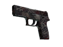 P250 | Facility Draft (Field-Tested)