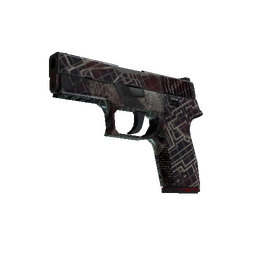 Souvenir P250 | Facility Draft (Well-Worn)