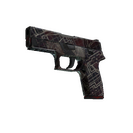 P250 | Facility Draft (Well-Worn)