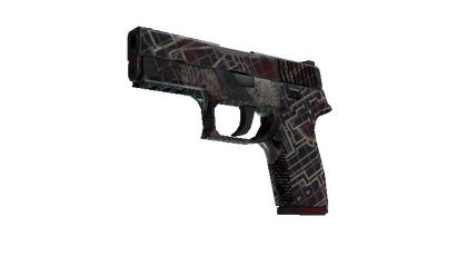 P250 | Facility Draft (Field-Tested)