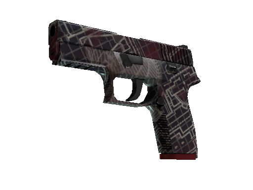 P250 | Facility Draft (Minimal Wear)