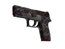 P250 | Facility Draft