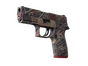 P250 | Facility Draft