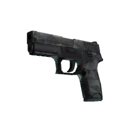 P250 | Facets (Battle-Scarred)