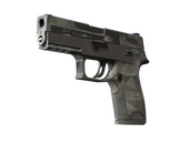 P250 | Facets (Battle-Scarred)