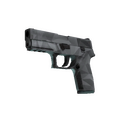 P250 | Facets (Factory New)