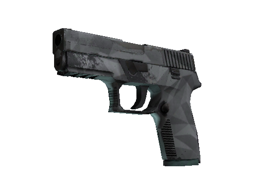 P250 | Facets (Well-Worn)