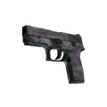 P250 | Facets (Field-Tested)
