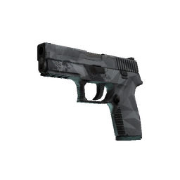 free csgo skin P250 | Facets (Well-Worn)