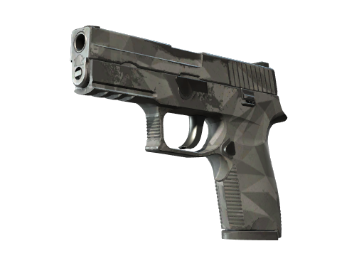 P250 | Facets (Well-Worn)