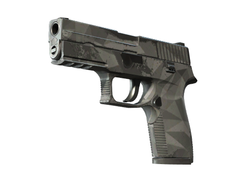 P250 | Facets (Field-Tested)