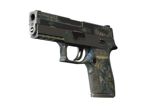 P250 | Exchanger (Battle-Scarred)