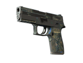 P250 | Обменник (Закалённое в боях)