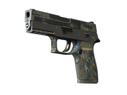 P250 | Exchanger