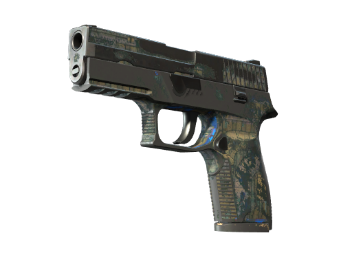 P250 | Exchanger