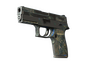 P250 | Exchanger