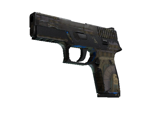 P250 | Exchanger (Battle-Scarred)