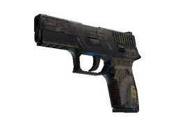 P250 | Exchanger (Field-Tested)