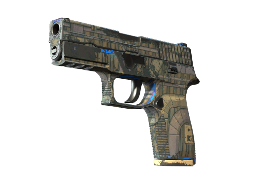 P250 | Exchanger (Well-Worn)