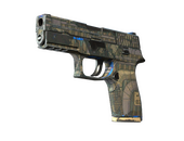 P250 | Exchanger (Field-Tested)