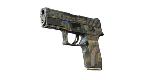 P250 | Exchanger (Field-Tested)