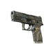 P250 | Exchanger (Field-Tested)