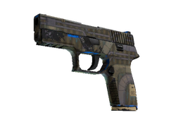 P250 | Exchanger