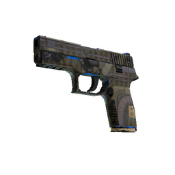 free cs2 skins P250 | Exchanger (Well-Worn)