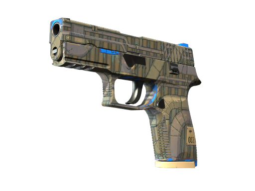 P250 | Exchanger (Minimal Wear)