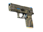 P250 | Exchanger