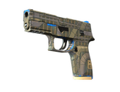 P250 | Exchanger (Minimal Wear)