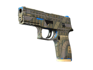 P250 | Exchanger