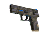 P250 | Exchanger (Factory New)