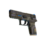 P250 | Exchanger (Factory New)