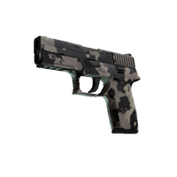 P250 | Black & Tan (Field-Tested)