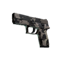 P250 | Black & Tan (Field-Tested)