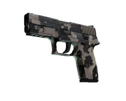 Souvenir P250 | Black & Tan