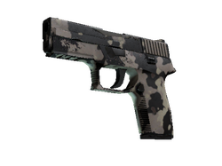Souvenir P250 | Black & Tan
