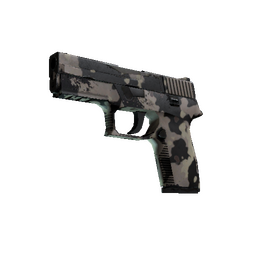 Souvenir P250 | Black & Tan (Field-Tested)