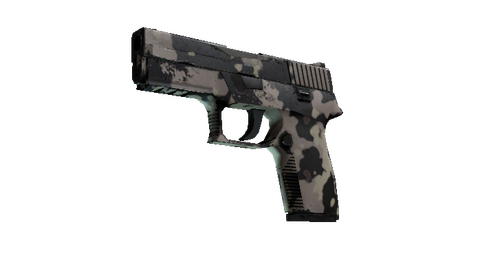 Souvenir P250 | Black & Tan (Well-Worn)
