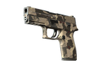 P250 | Black & Tan (Field-Tested)