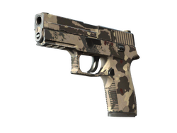 Souvenir P250 | Black & Tan