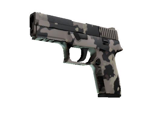 P250 | Black & Tan (Well-Worn)