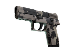 Souvenir P250 | Black & Tan