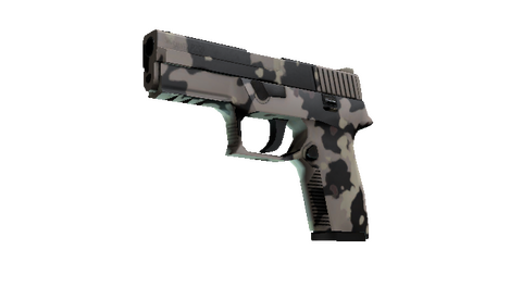 Souvenir P250 | Black & Tan (Factory New)