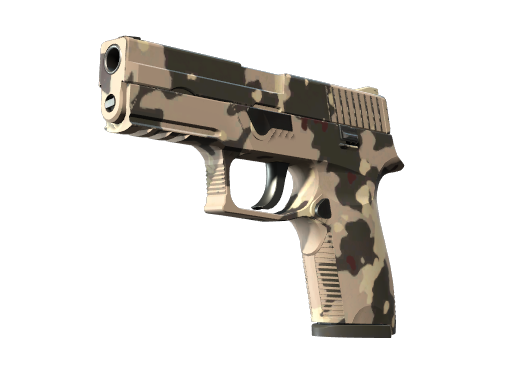 P250 | Black & Tan (Well-Worn)